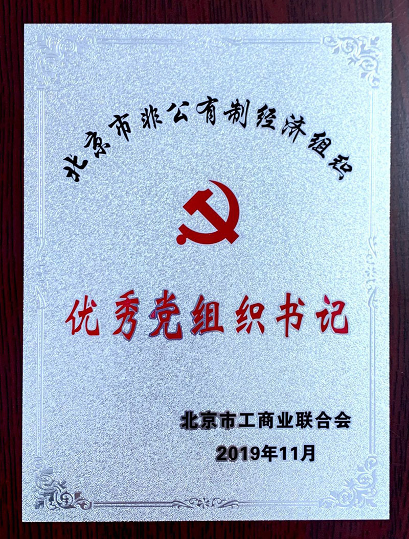 優(yōu)秀黨組織書記